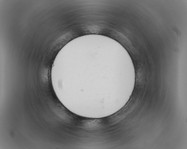 X0000112030122200909141105