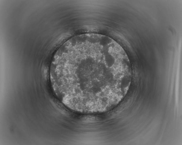 X0000112030123200909141105