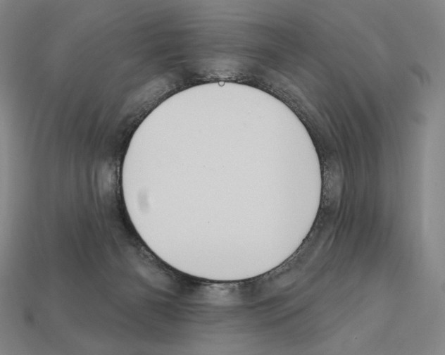 X0000112030126200909141105