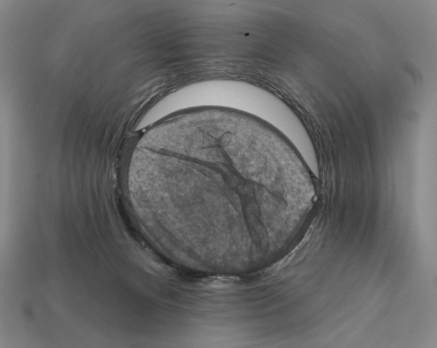 X0000112030128200909141105