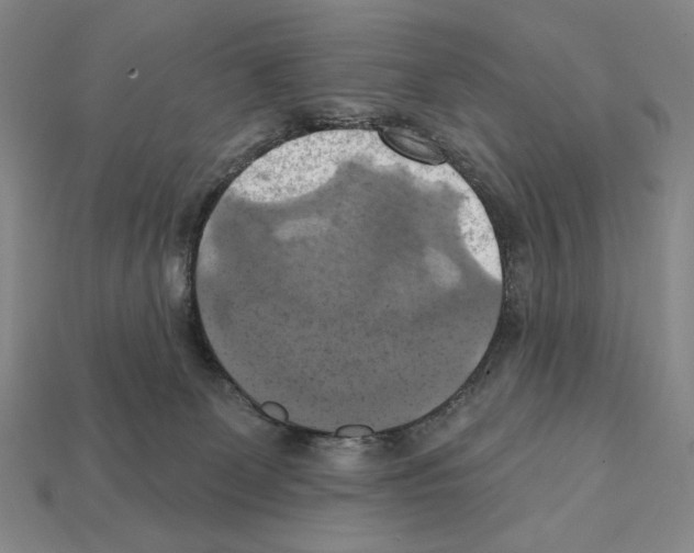 X0000112030131200909141104