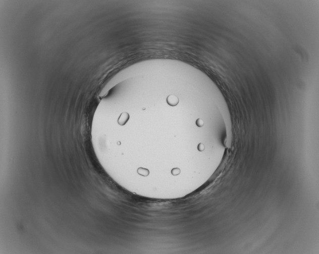 X0000112030132200909141104