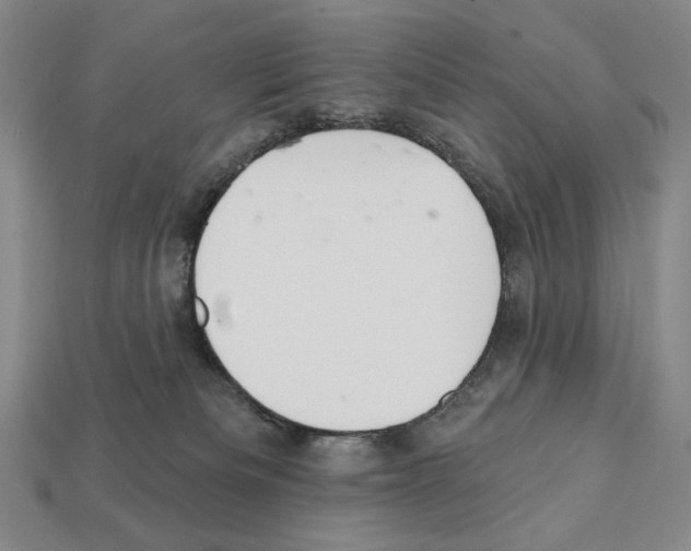 X0000112030133200909141104