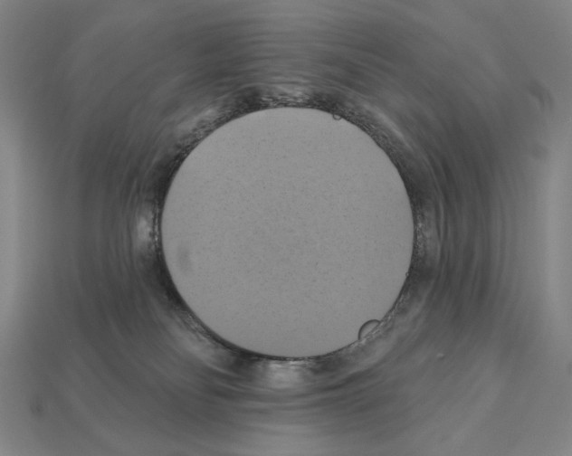 X0000112030134200909141104