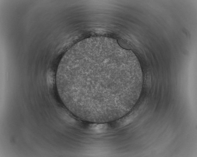 X0000112030135200909141104