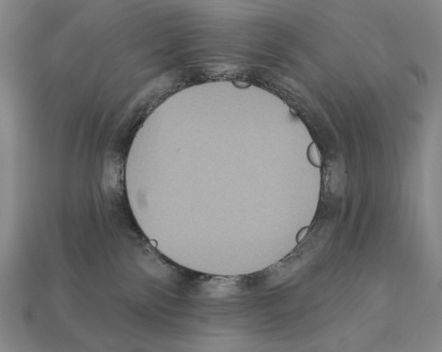 X0000112030138200909141104