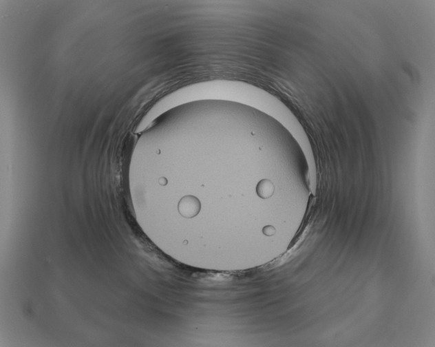 X0000112030140200909141104