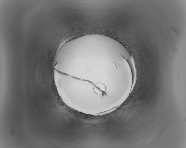 X0000112030144200909141104