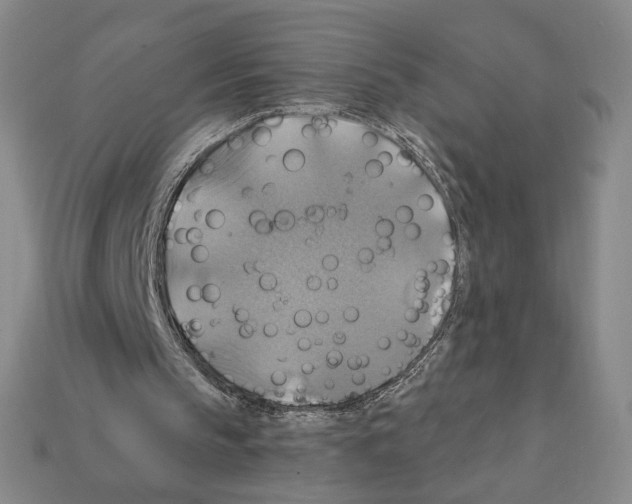 X0000112030145200909141104