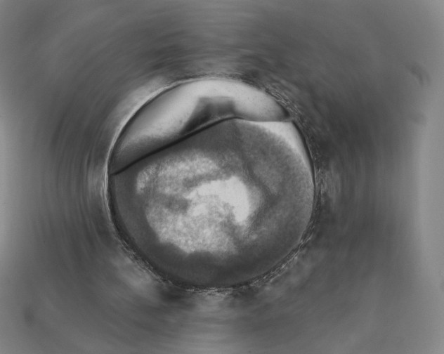 X0000112030148200909141104