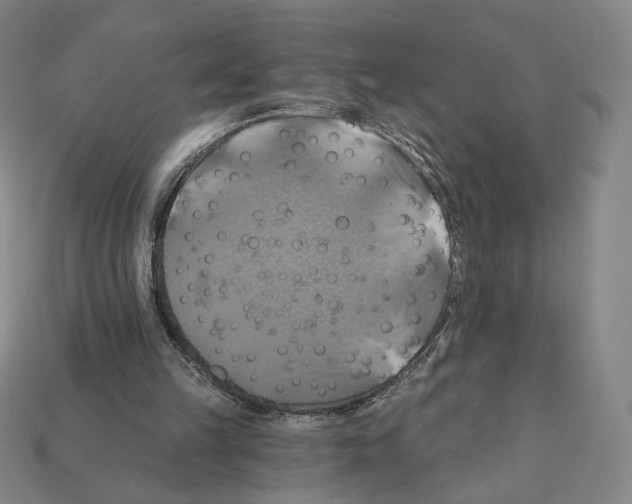 X0000112030149200909141104