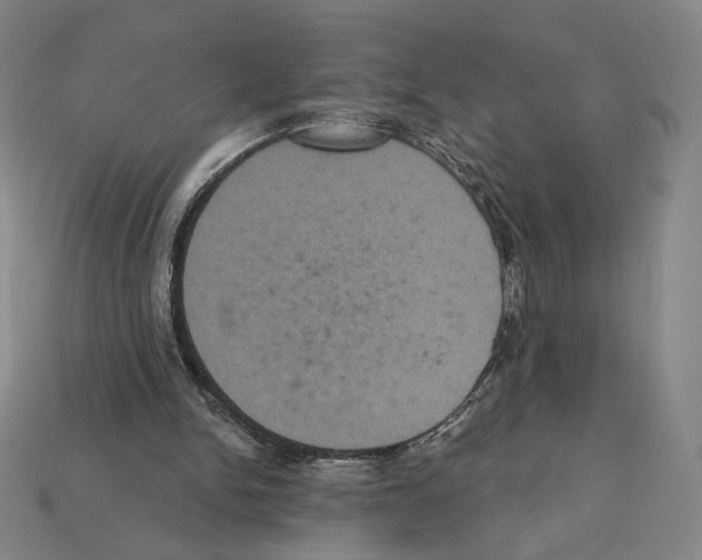 X0000112030150200909141104