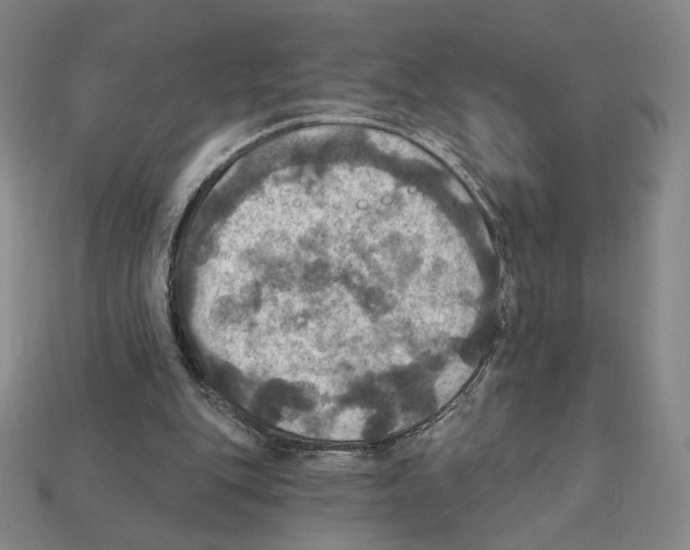 X0000112030151200909141104