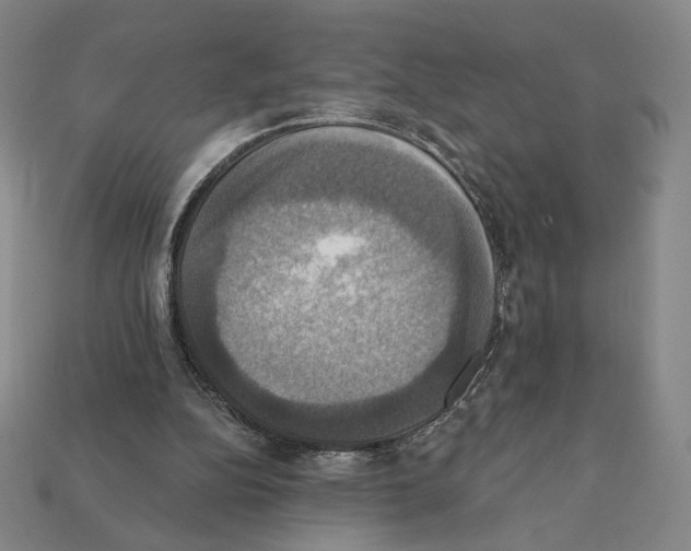X0000112030152200909141104