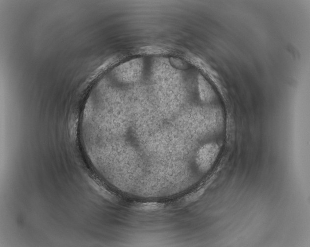 X0000112030153200909141104