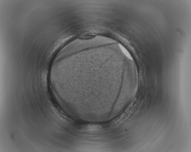 X0000112030154200909141104