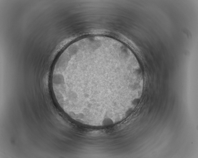 X0000112030155200909141104