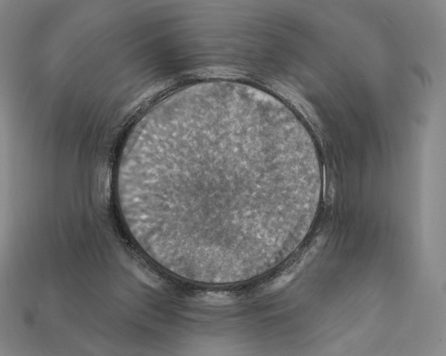 X0000112030157200909141104