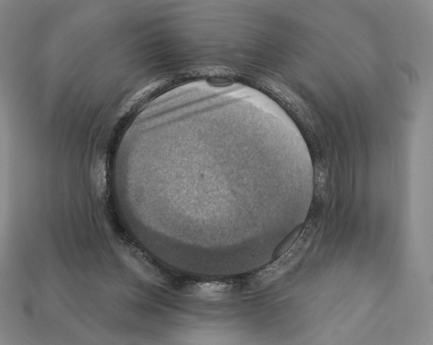 X0000112030158200909141104