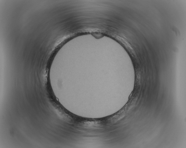 X0000112030160200909141104