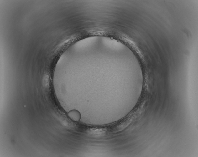 X0000112030161200909141104