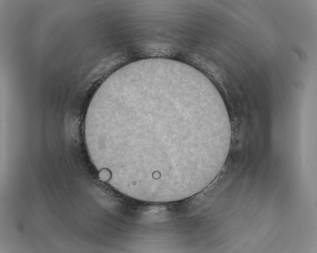 X0000112030162200909141104