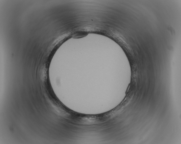 X0000112030164200909141104