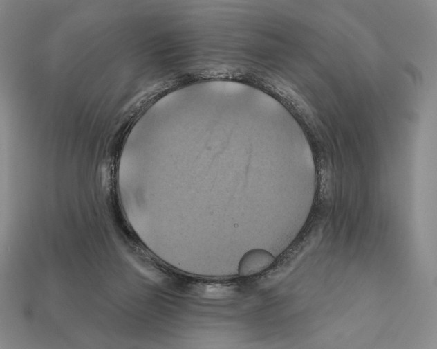 X0000112030165200909141104
