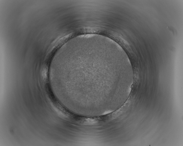 X0000112030166200909141104