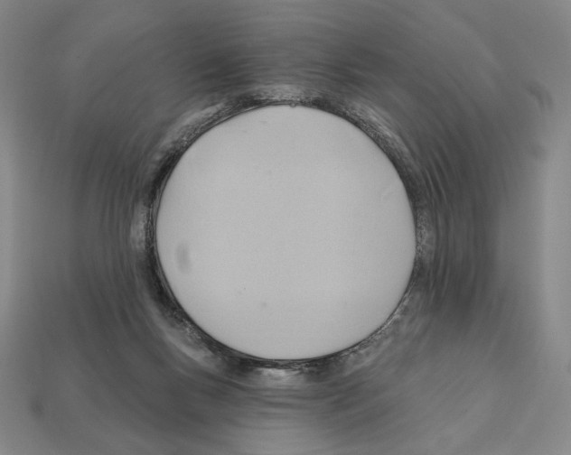X0000112030167200909141104