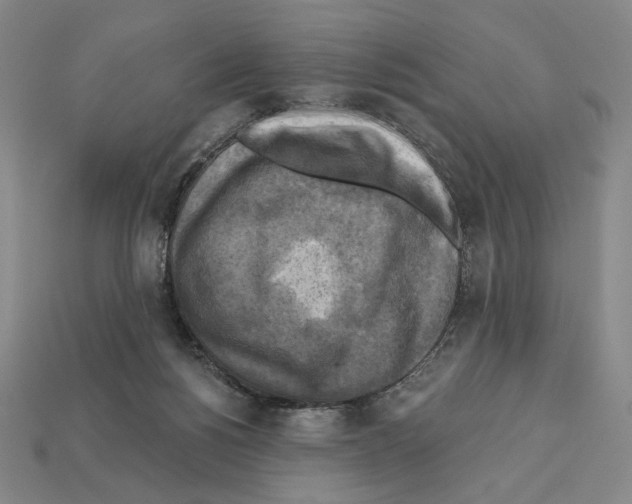 X0000112030168200909141104