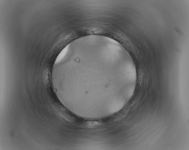 X0000112030169200909141104