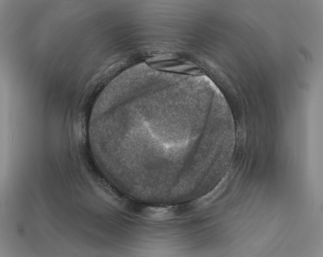 X0000112030170200909141104