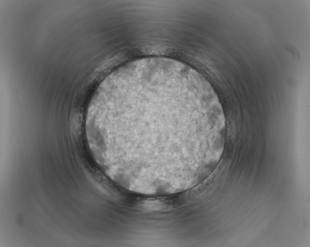 X0000112030171200909141104