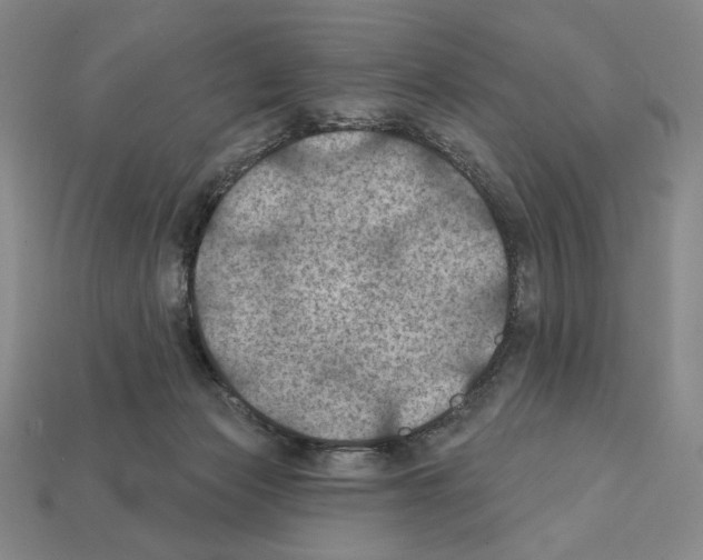X0000112030173200909141104