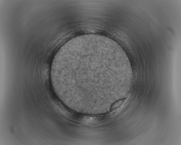 X0000112030174200909141104