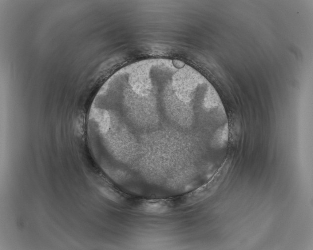 X0000112030175200909141104