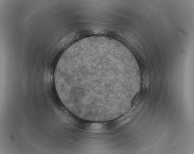 X0000112030176200909141104