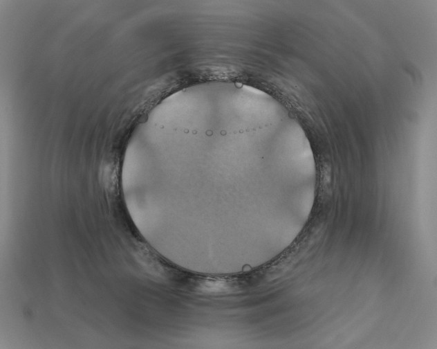 X0000112030177200909141104