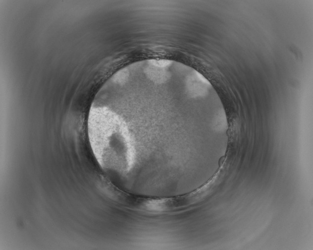 X0000112030178200909141104