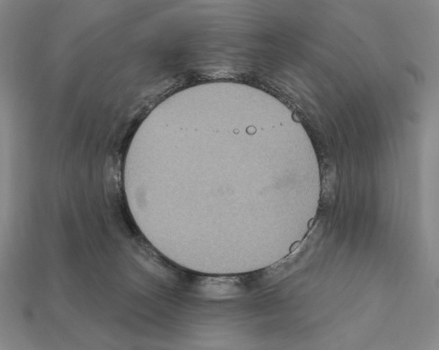 X0000112030179200909141104