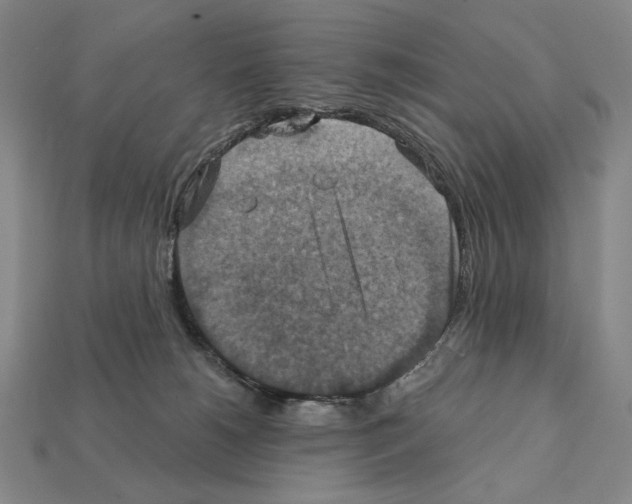 X0000112030180200909141104