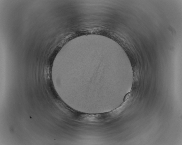 X0000112030182200909141104