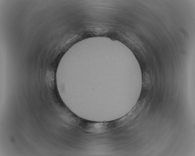 X0000112030184200909141104