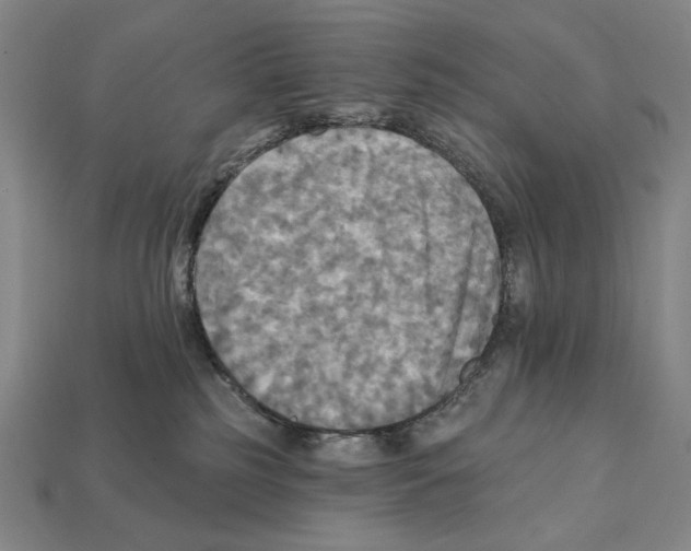 X0000112030185200909141104