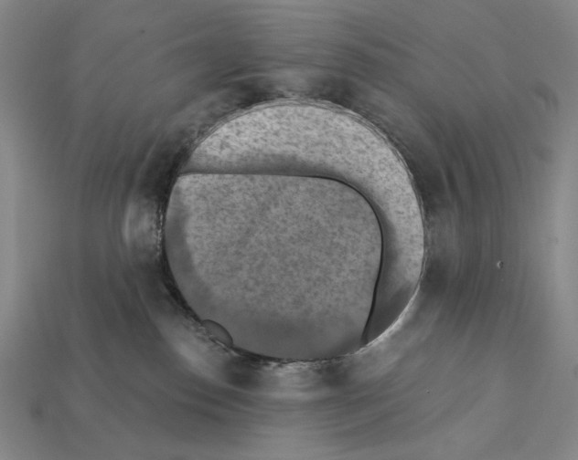 X0000112030186200909141104