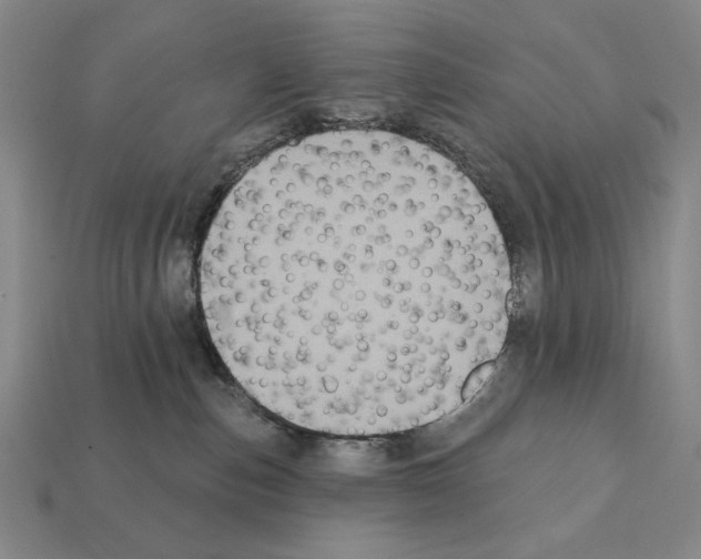 X0000112030187200909141104