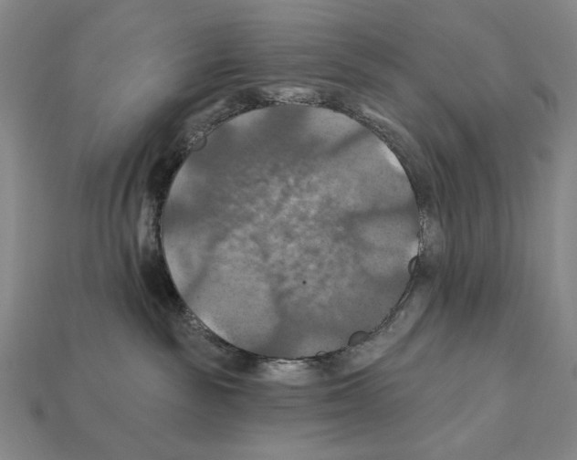 X0000112030189200909141104