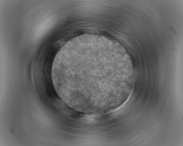 X0000112030190200909141104