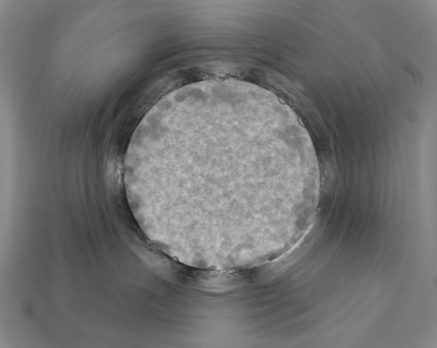 X0000112030191200909141104